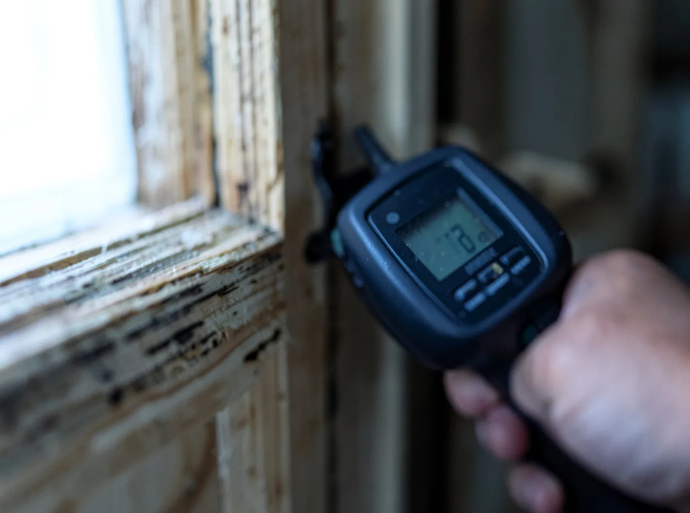 Moisture Inspection And Documentation in Texico, NM